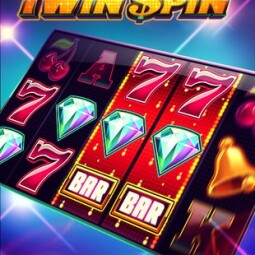 Twin Spin Machine a Sous